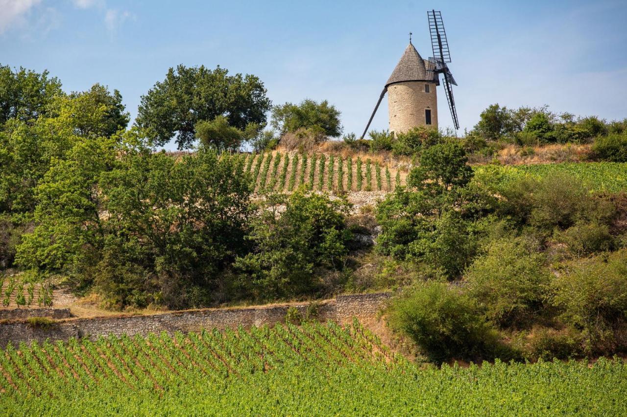 Camping De Santenay Сантене Экстерьер фото