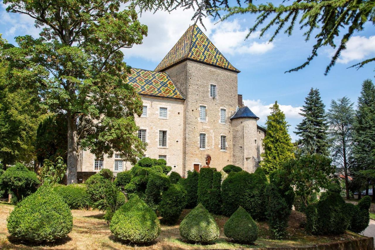Camping De Santenay Сантене Экстерьер фото